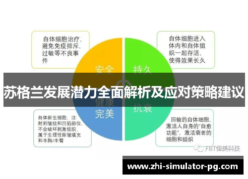 苏格兰发展潜力全面解析及应对策略建议 苏格兰发展潜力全面解析及应对策略建议