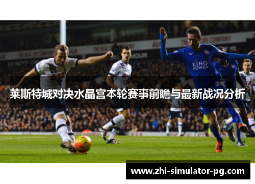 莱斯特城对决水晶宫本轮赛事前瞻与最新战况分析