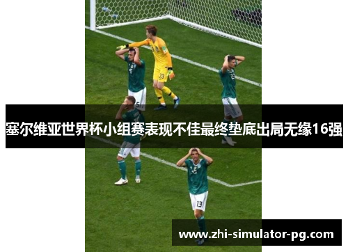 塞尔维亚世界杯小组赛表现不佳最终垫底出局无缘16强 塞尔维亚世界杯小组赛表现不佳最终垫底出局无缘16强